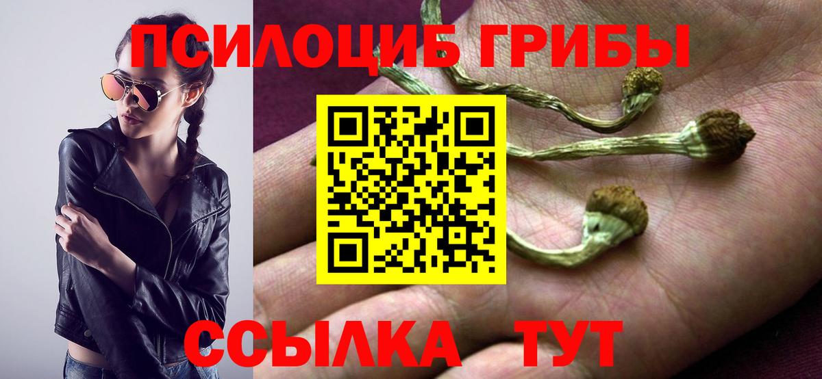 Галлюциногенные грибы MAGIC MUSHROOMS  Вход с VPN  Славянск-на-Кубани 