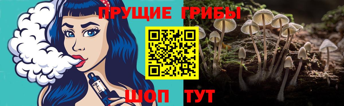 Галлюциногенные грибы Psilocybe Славянск-на-Кубани